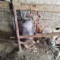 شیردوش|لوازم جانبی حیوانات|برخوار, |دیوار