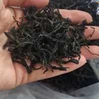 پخش چای بهاره