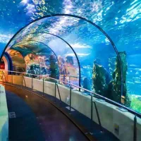 تور کیش ،مشهد،قشم