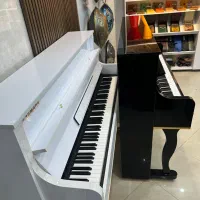 فروش انواع پیانو دیجیتال وآگوستیک|پیانو، کیبورد، آکاردئون|یزد, |دیوار