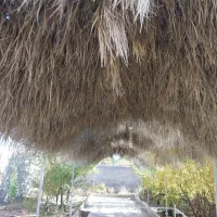 خونه باغ جوپار عباس آباد بعد از کارخانه روغن نباتی|فروش خانه و ویلا|ماهان, |دیوار