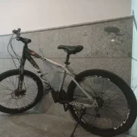 دوچرخه ویوا