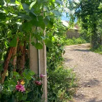 سوئیت و ویلای دوخواب ماسال|اجارهٔ کوتاه‌مدت ویلا و باغ|ماسال, |دیوار