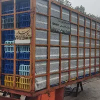 یک عدد اتاق خاور مرغی همراه با سبد|خودرو سنگین|رشت, توشیبا|دیوار