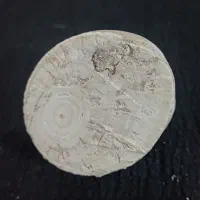 مهره