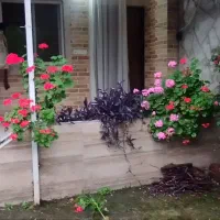 بک-واحد-خانه-حیاط-دار