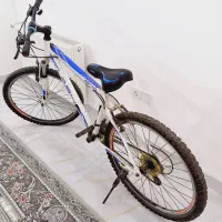 دوچرخه