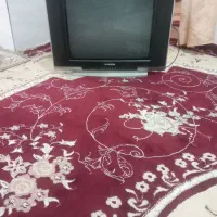 تلویزیون 21