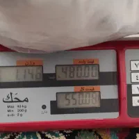 بدلیجات کیلویی|بدلیجات|کرمانشاه, |دیوار