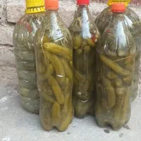 خیارشورمحلی تردوخوشمزه