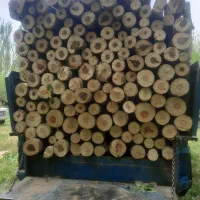 خریدار انوع چوب|خدمات باغبانی و درختکاری|بکتاش, |دیوار