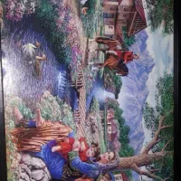 قاب عکس جنگل