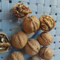 پخش روغن زرد گوسفندی وگاوی وکره دوغی. اسفراین|خوردنی و آشامیدنی|پاکدشت, حصار امیر|دیوار