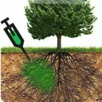 خدمات کشاورزی و فضای سبز داروخانه کلینک گیاه پزشکی|خدمات باغبانی و درختکاری|کاشان, امیرکبیر|دیوار