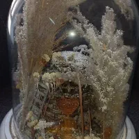 گوی شیشه ای