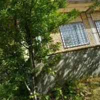 خانه باغ|فروش خانه و ویلا|جوکار, |دیوار