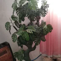 درخت مصنوعی.تمیزوسالم