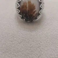 انگشتر شجر قائنات پاییز کمیاب