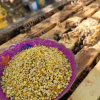 گرده گل زنبور عسل و عسل طبیعی