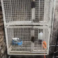 جوشکار سیار