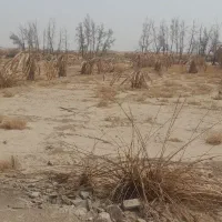 فروش چاه آب کشاورزی وزمین|اجارهٔ دفتر صنعتی، کشاورزی، تجاری|ایرانشهر, |دیوار