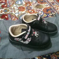 کفش|کیف، کفش، کمربند|بروجرد, |دیوار