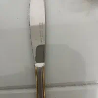 کارد مخصوص غذا خوری|ظروف سرو و پذیرایی|هشتگرد, شهرک دریا|دیوار