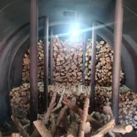 برش و حرص چوب|خدمات باغبانی و درختکاری|بوشهر, |دیوار