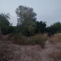 خانه باغ در جوپار|فروش خانه و ویلا|ماهان, |دیوار