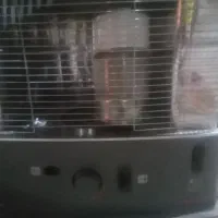 بخاری تیوست