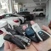 پروگرام سوییچ ریموت تخصصی خودروهای لوکس