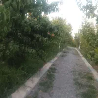 فروش باغ