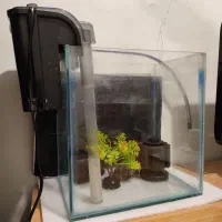 آکواریوم ماهی کامل و لجن خوار بزرگ