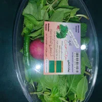 ریحون وسبزی خوردن تفاله پیاز وسبزیرخرد شده وسالاد|خوردنی و آشامیدنی|مشهد, کلاهدوز|دیوار