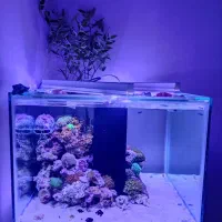 فروشنده علاقه مند