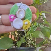 جاسوییچی فقط ۳۵۰