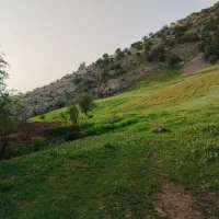 اجاره-زمین-کشاورزی-آبیاری-بارانی-و-قطره-ای