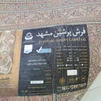 فرش 4*3|فرش|مشهد, شهرک لشکر (شهرک غرب)|دیوار