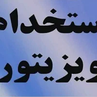 ویزیتور فضای مجازی