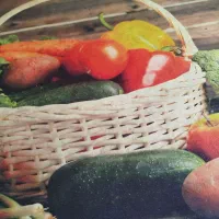 فرش اشپزخانه|فرش|شهرکرد, |دیوار