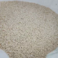 برنج عنبر بو|خوردنی و آشامیدنی|اهواز, شهرک دانشگاه|دیوار