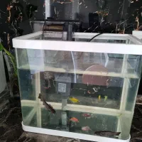 اکواریوم ۶۰در۸۰