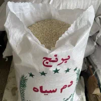 برنج محلی مینودشت