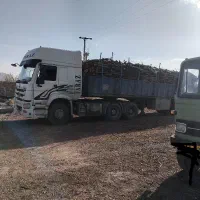 خرید چوب و هیزم باغی.|خدمات باغبانی و درختکاری|شاهرود, |دیوار