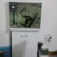 اکواریوم دلسا