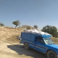 کود گوسفند تحویل کار