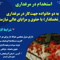 یک خانواده جهت کار در مرغداری