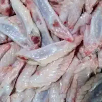 ضایعات مرغ غذای سگ