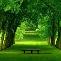 سلام خدمت همشهریان عزیز فروش زمین