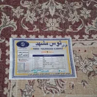 فرش‌۱۲متری‌نونو